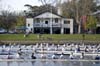NorthViewDSC_6145